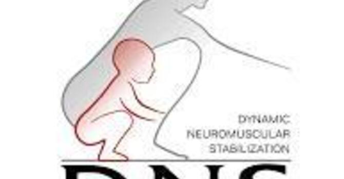 What The Heck is DNS?