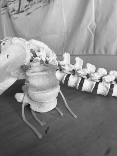 Link to: /services/chiropractic-care