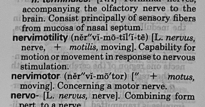 Neurodynamics & Nerve Mobilization: What the Research Actually Looks Like in Real Life